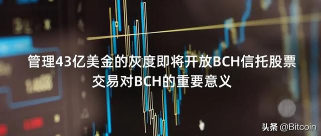 43亿巨头灰度加持BCH,或许BCH会成为下一个热点 43亿巨头灰度加持BCH,或许BCH会成为下一个热点