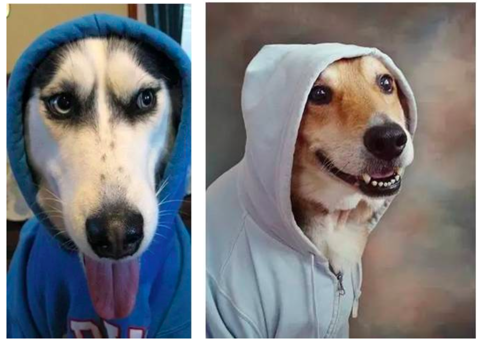 自由与失控：电报的创始人及其《黑客帝国》23