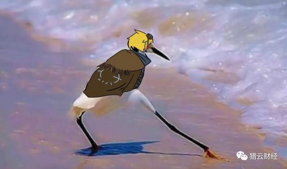 BSV支持者：BCH的分歧是由杨海波带来的