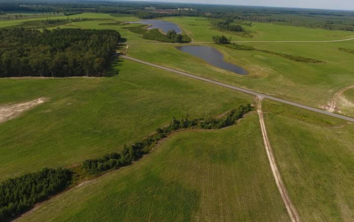 视点|以太坊2.0中的定义:城市、郊区和农村4 视点|以太坊2.0中的定义:城市、郊区和农村4