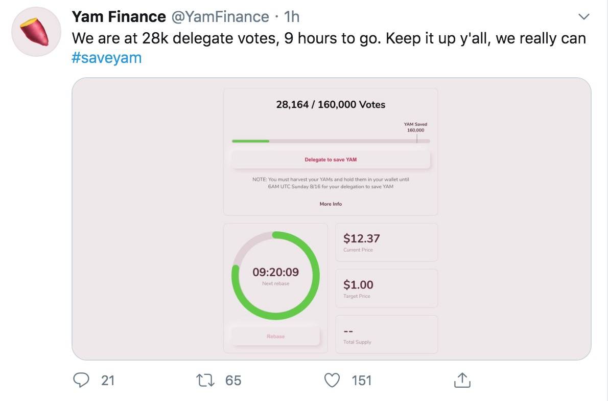 终于找到了虫子！YAM呼吁YAM种植户携手拯救项目3