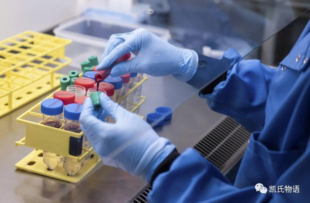 区块链巨头将在哪里诞生？8