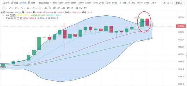 新老韭菜货币跌停不休，下一个上涨板块在哪里？3