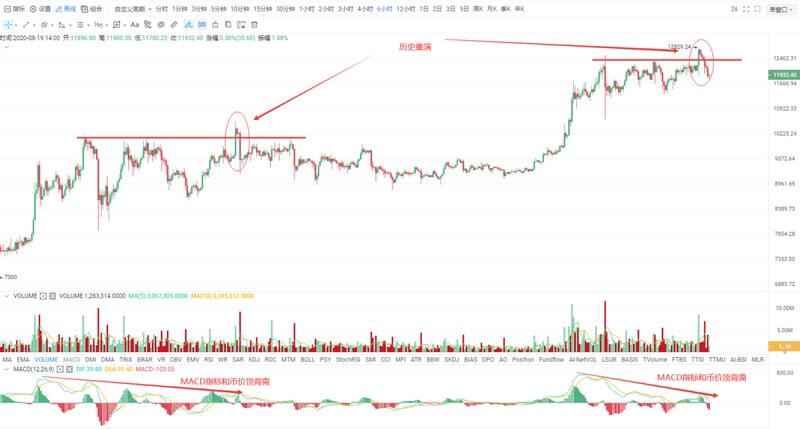 新老韭菜货币跌停不休，下一个上涨板块在哪里？5