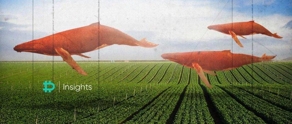 yam启动方式及复位机理分析