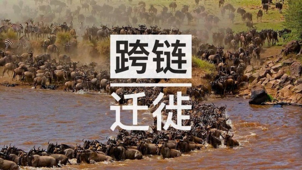 跨链迁移：defi项目的抄袭目标