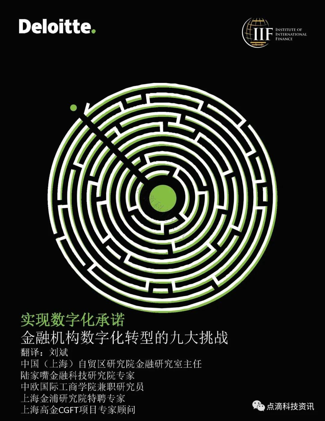 国际金融研究所：金融机构数字化转型的九大挑战