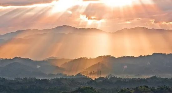 迪菲就要撞到“天花板”了。有机会进入公共连锁店吗？3