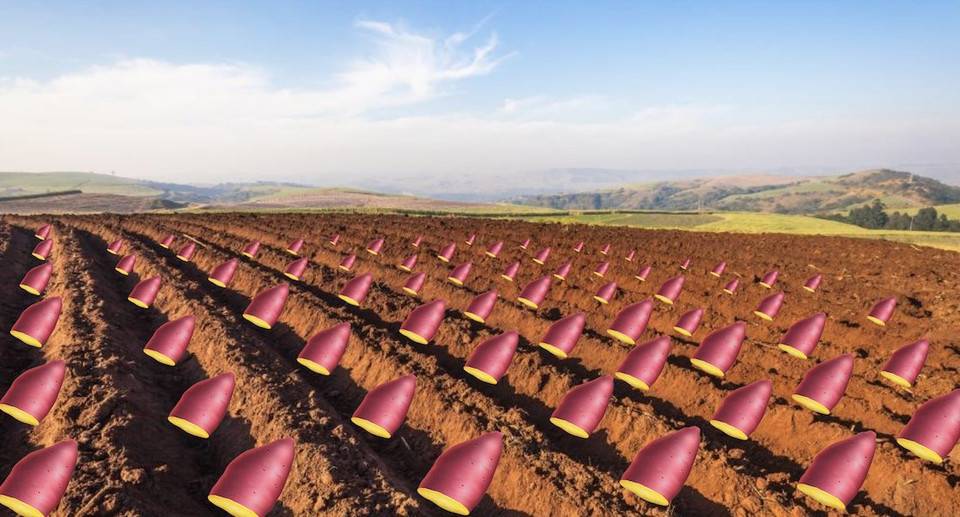 5分钟了解DFI试点采矿项目yam Finance