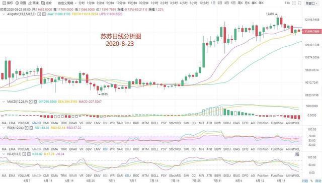 苏苏|8.23-晚评 比特币以空单为主就对了 苏苏|8.23-晚评 比特币以空单为主就对了