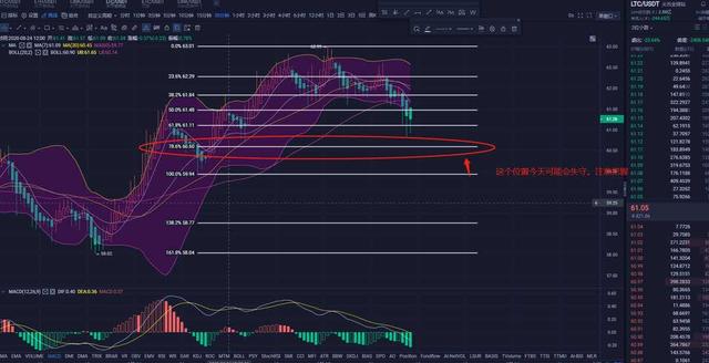 8.25LTC行情趋势分析 8.25LTC行情趋势分析