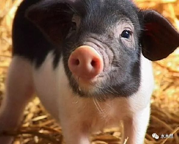 比特币到底是啥玩意儿?这篇文章终于讲清楚了!1 比特币到底是啥玩意儿?这篇文章终于讲清楚了!1