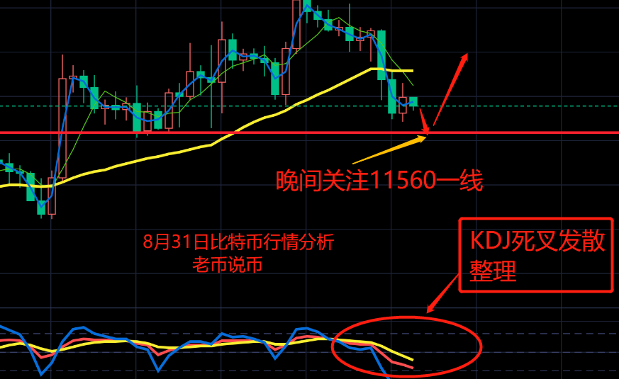 老币说币：比特币早间冲高回调，晚间寻求支撑反弹