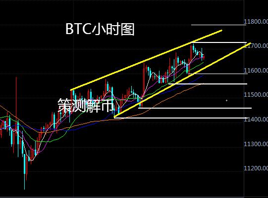 ETH重返430后回调，BTC锲型上轨受压，黄金高开回补缺口2