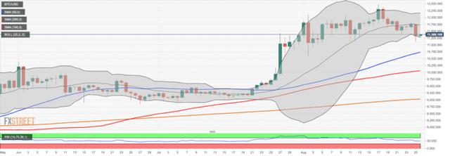 比特币新一轮上涨蓄势待发！“数字黄金”和黄金谁更能“抗通胀”？