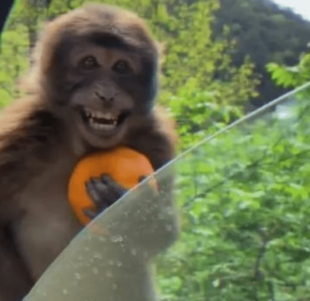 采访并倾听来自阿卡拉社区的志愿者的声音2