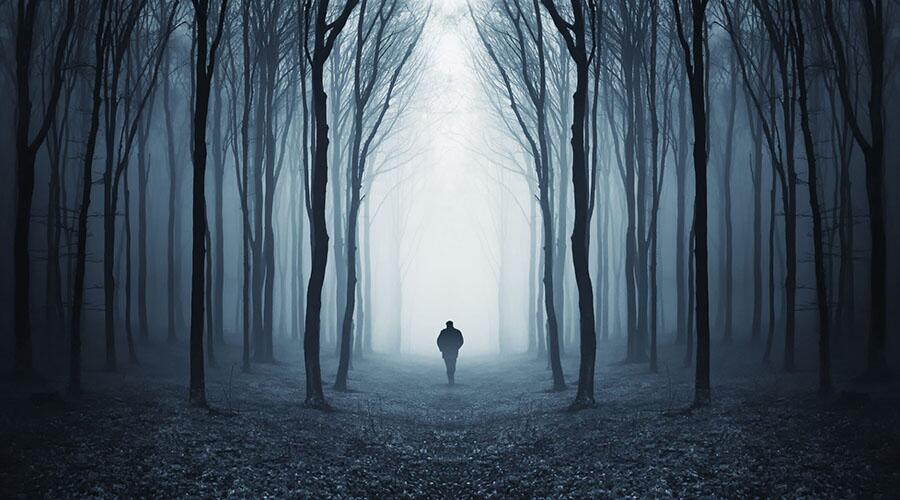 到2020年底，比特币可能达到2万美元