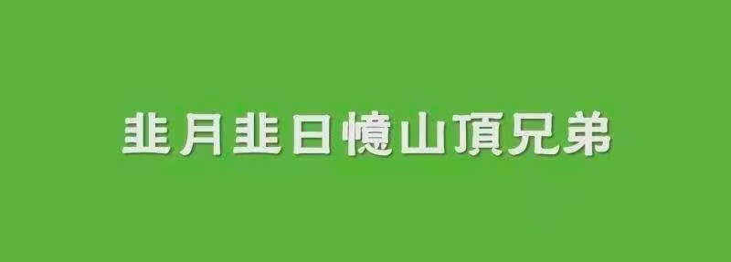 矿工们带着中文表情包出动攻击filecoin官方频道
