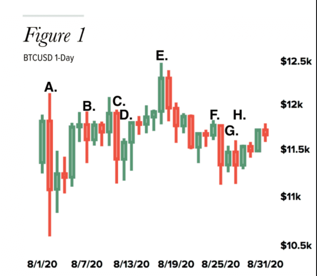比特币与股票和黄金价格“脱钩”，63%的比特币一年内保持不变3