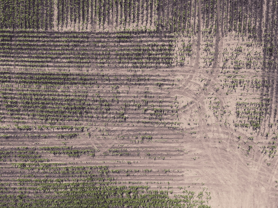 我输了5000美元1 我输了5000美元1