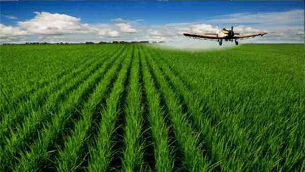 了解IPFs:arbol的商业应用