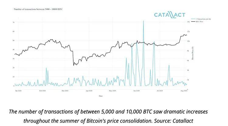新的冠状病毒已经把散户投资者从市场上赶走，但它却鼓励了BTC鲸鱼2
