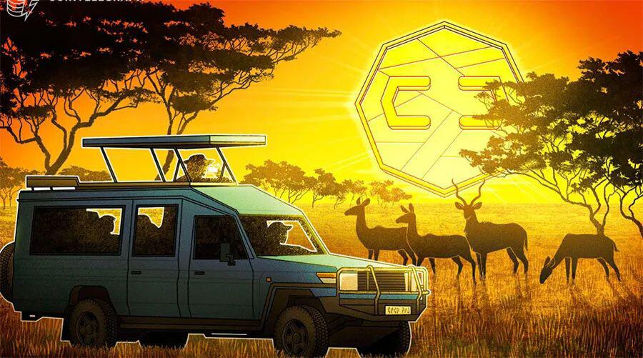 尼日利亚监管机构在其监管范围内定义了数字资产