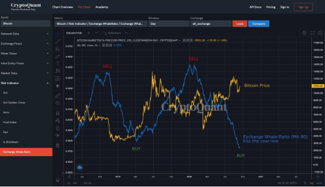 比特币的新牛市?数据显示,鲸鱼和机构正在囤积比特币1 比特币的新牛市?数据显示,鲸鱼和机构正在囤积比特币1