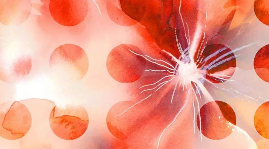 以太坊上代币比特币的总供应价值已超过11亿美元（第二部分）