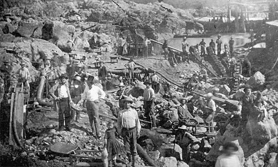 秋天的第一个“菠萝”真的那么好吃吗？