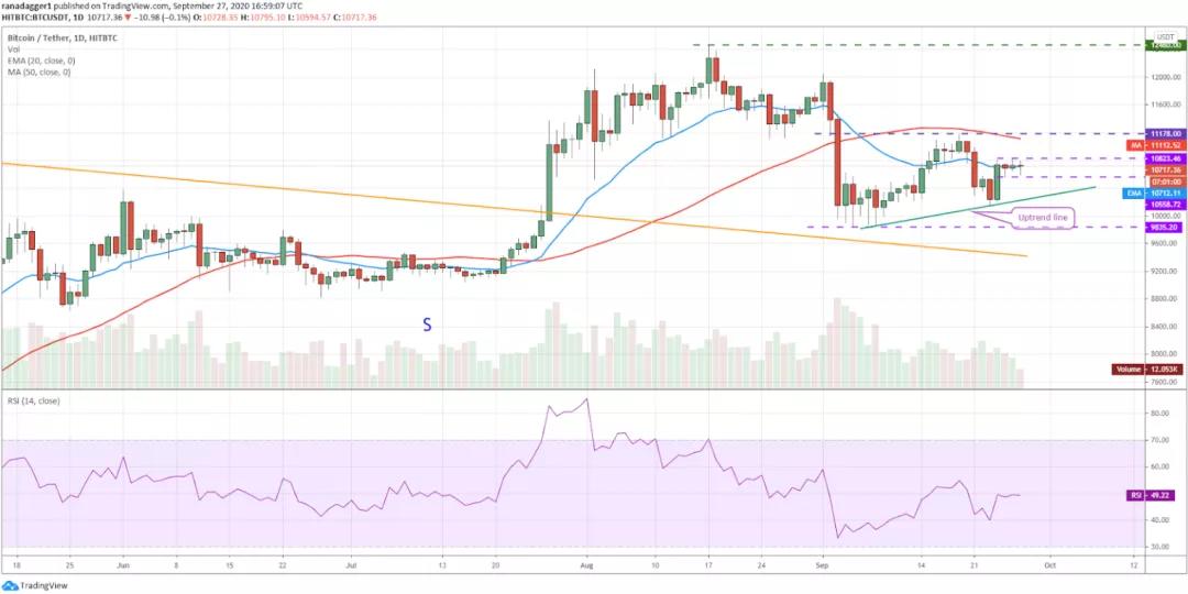 本周值得关注的五种加密货币：BTC、dot、CRO、xem、xtz1