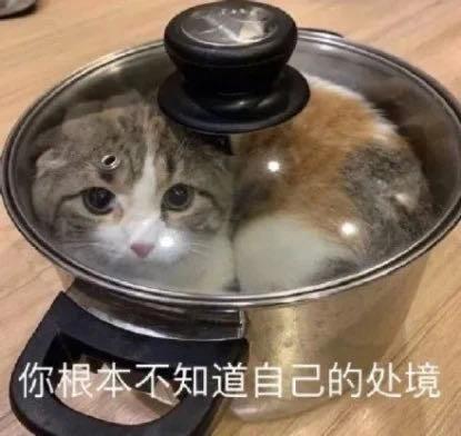 流动性从trx转移到eos,昨天庄家已经介入柚子,eos也许该发力了 流动性从trx转移到eos,昨天庄家已经介入柚子,eos也许该发力了