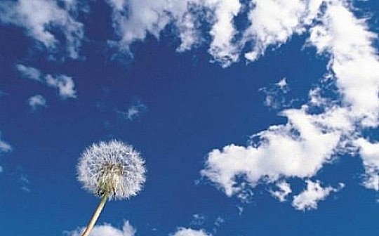 币海蓝天：你想盈利吗？我信你个鬼,你这个老师坏得很,这是多少朋友的心声？