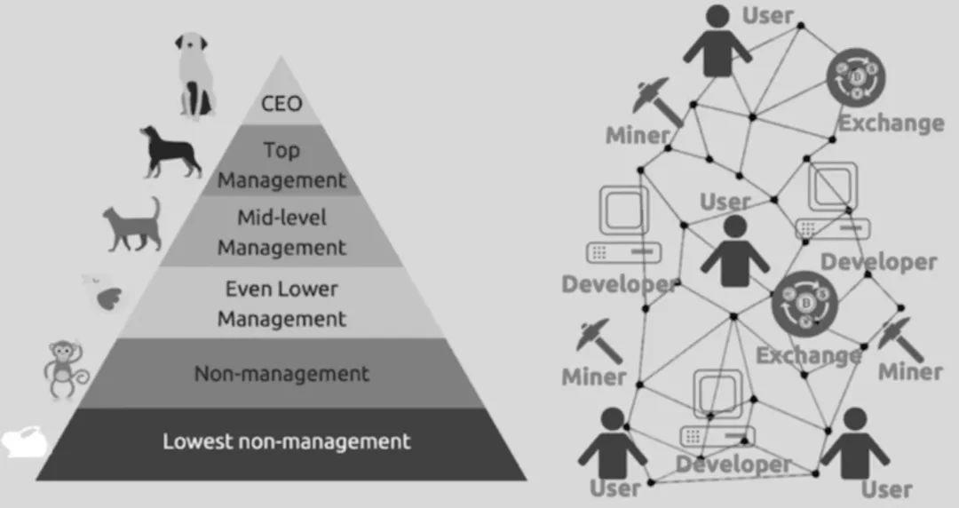 德菲治理与道分析