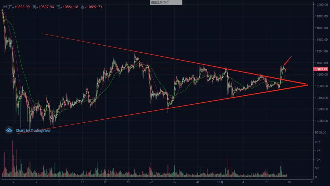 Twitter CEO square砸下5000万美元砸入比特币3 Twitter CEO square砸下5000万美元砸入比特币3