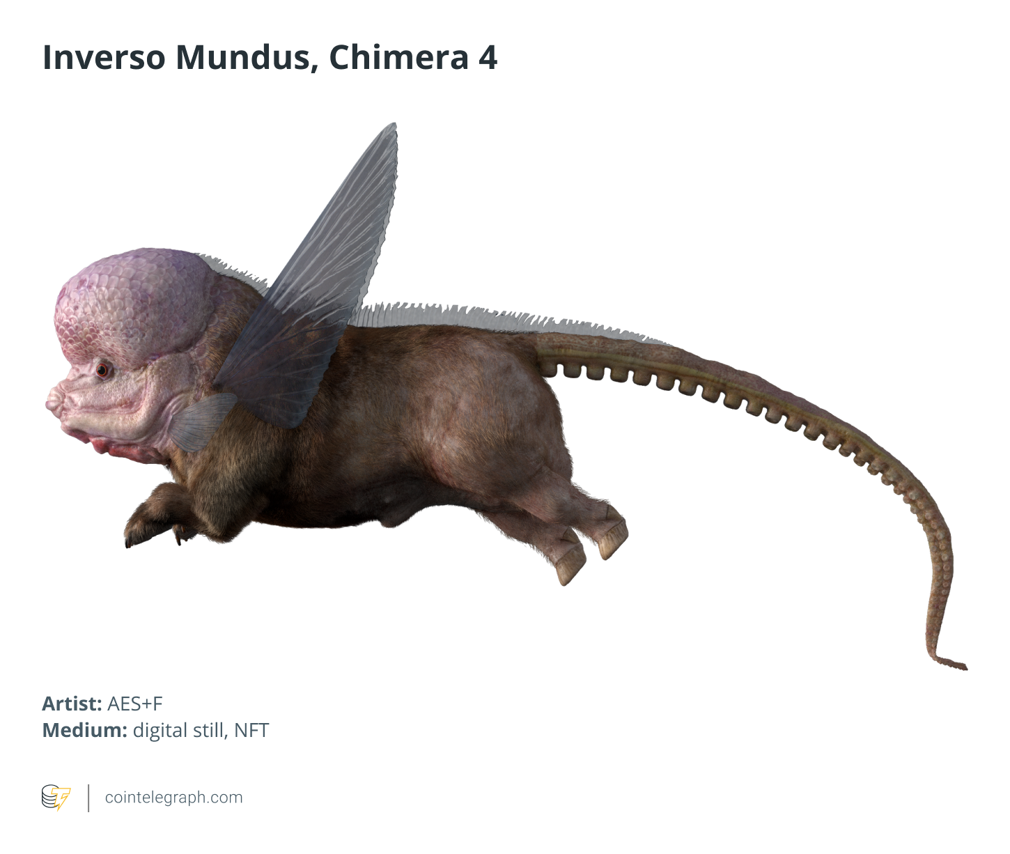 NFT和加密可以在没有审查的情况下放大现实 NFT和加密可以在没有审查的情况下放大现实