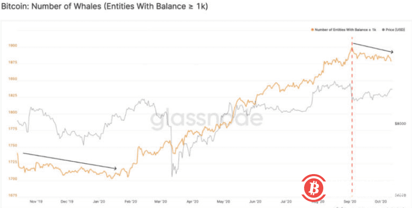 巨鲸的增长正在放缓，比特币链上的各项指标和价格现在都得到了有力的支持6