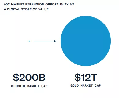从投资巨头到上市公司，比特币购买热潮能否持续？4