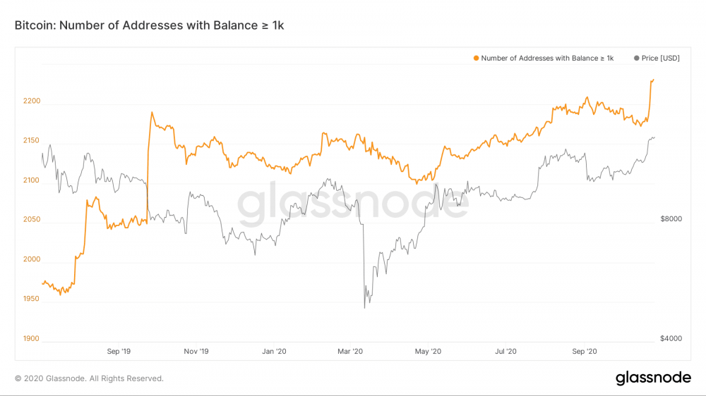 在最近的牛市中，比特币鲸鱼的数量达到了历史最高水平