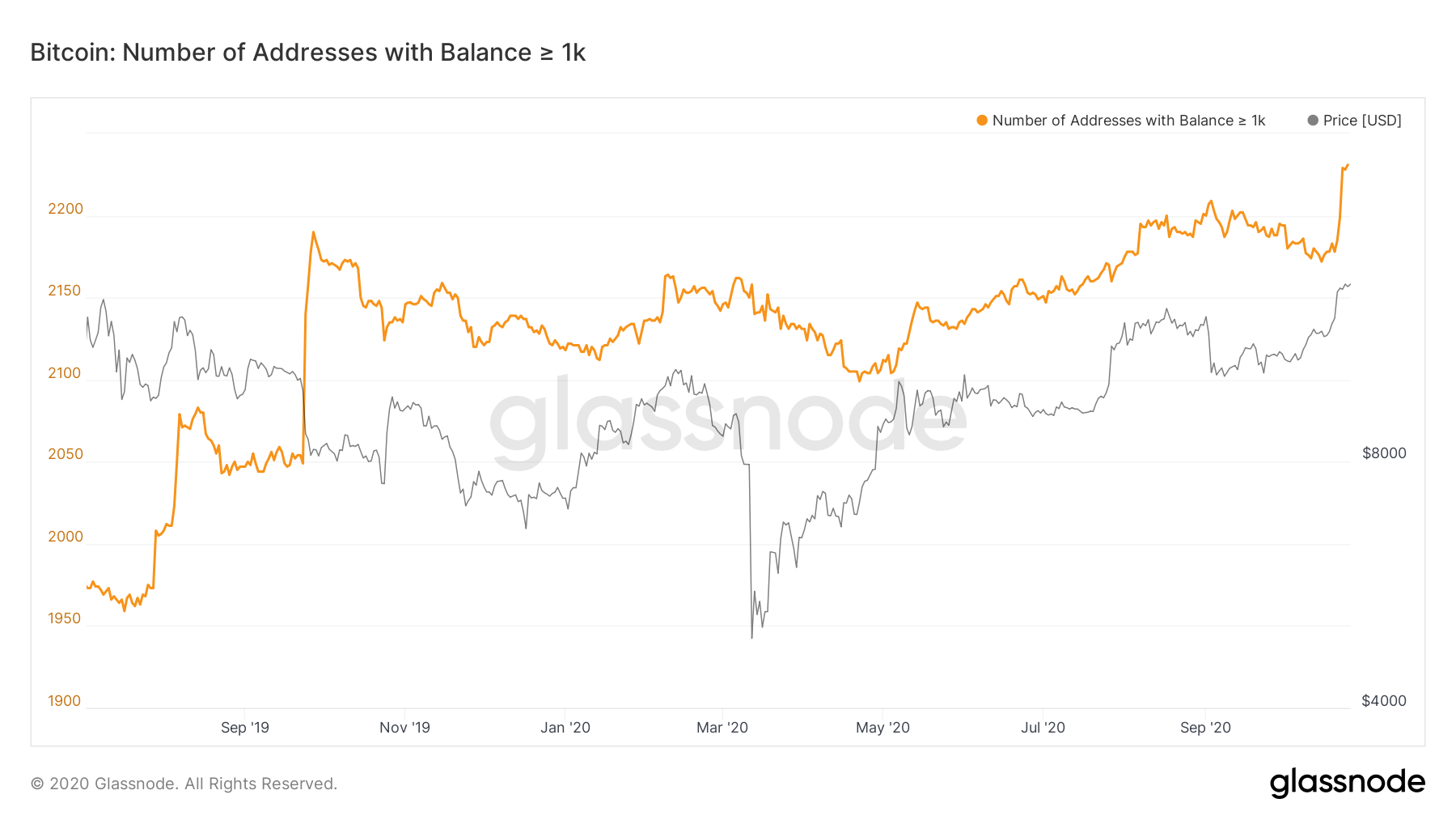 比特币鲸鱼数量创历史新高，新一轮牛市开启