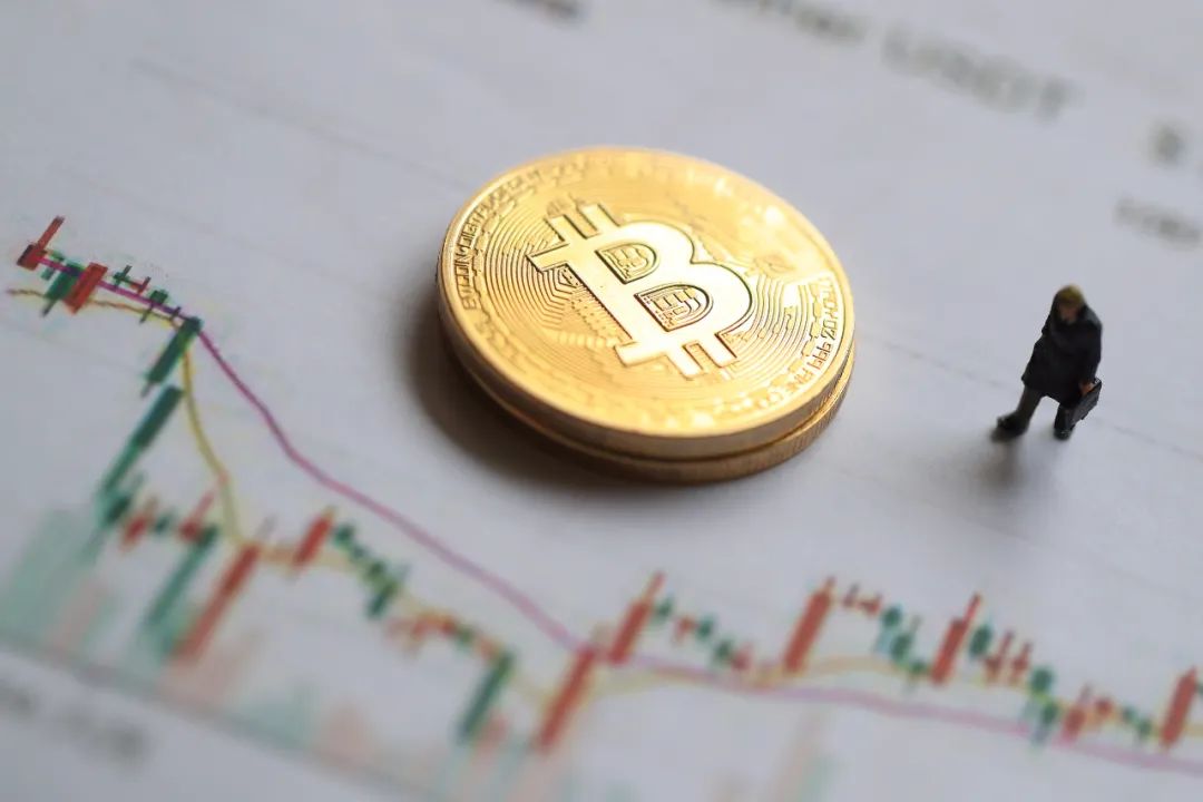 比特币涨疯了！