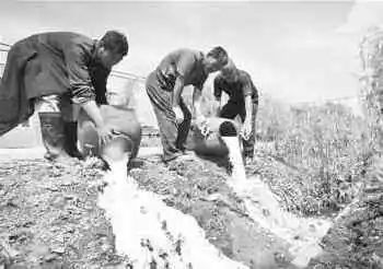 减产就一定暴涨？莱特币（LTC），该上车吗？2