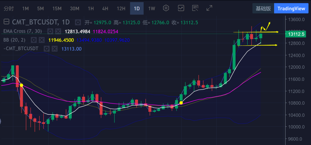 比特币稳坐钓鱼台，主流币全线跳水，后市如何操作？