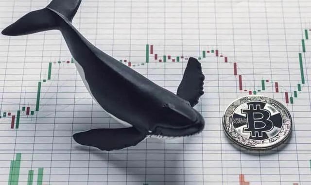 比特币鲸鱼数量创新高 ！凭一己之力推动比特币牛市？5