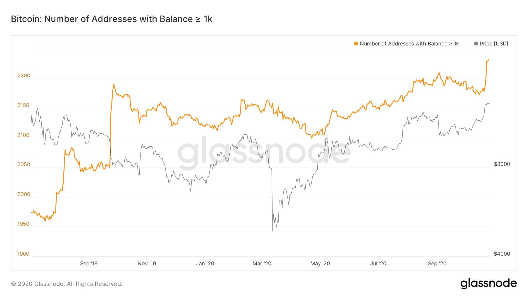 比特币鲸鱼数量创历史新高，需求量随之大幅度增长，市场看涨呼声大增