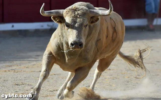 项目方在熊市中工作，在牛市中投机货币。从近期项目频发可以看出明年的表现
