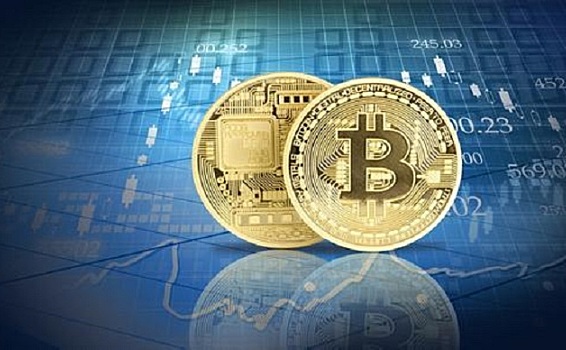 币圈小蝶：论币圈投资获利的最高境界