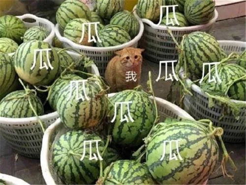 ​BCH又双叒分叉了