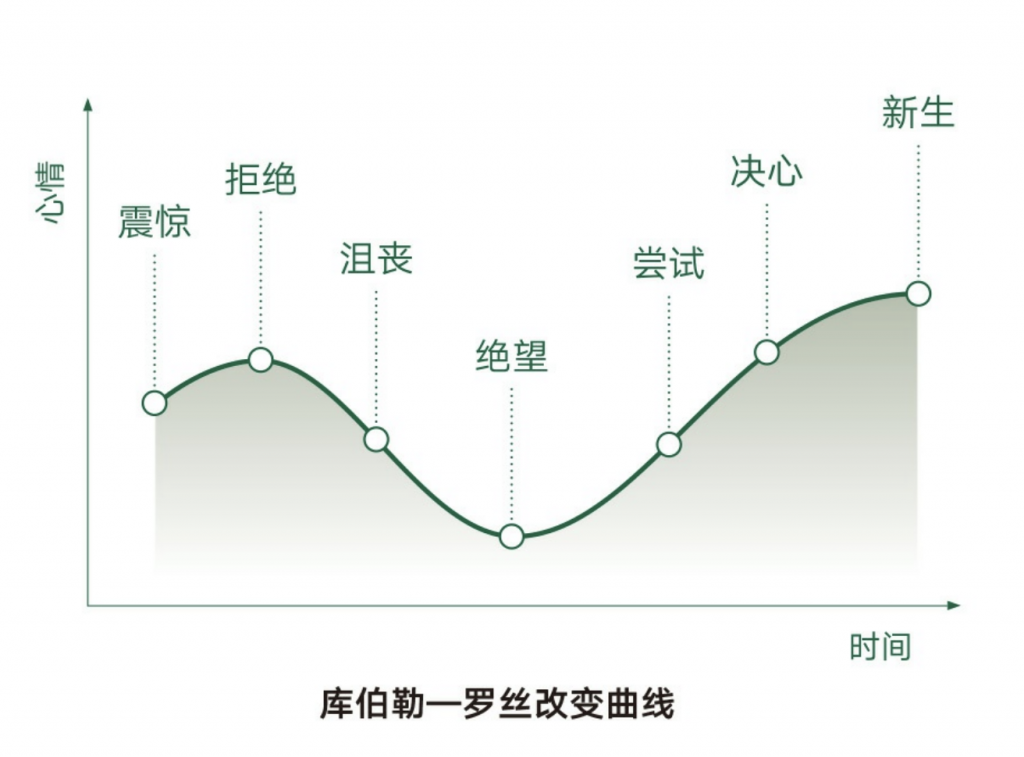 认识周期识别周期和把握周期
