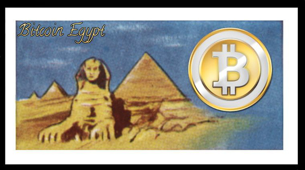 《权力的游戏》二丫扮演者 Maisie Williams 发推询问网友是否应长期持有比特币2